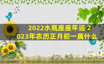 2022水瓶座座年运 2023年农历正月初一属什么